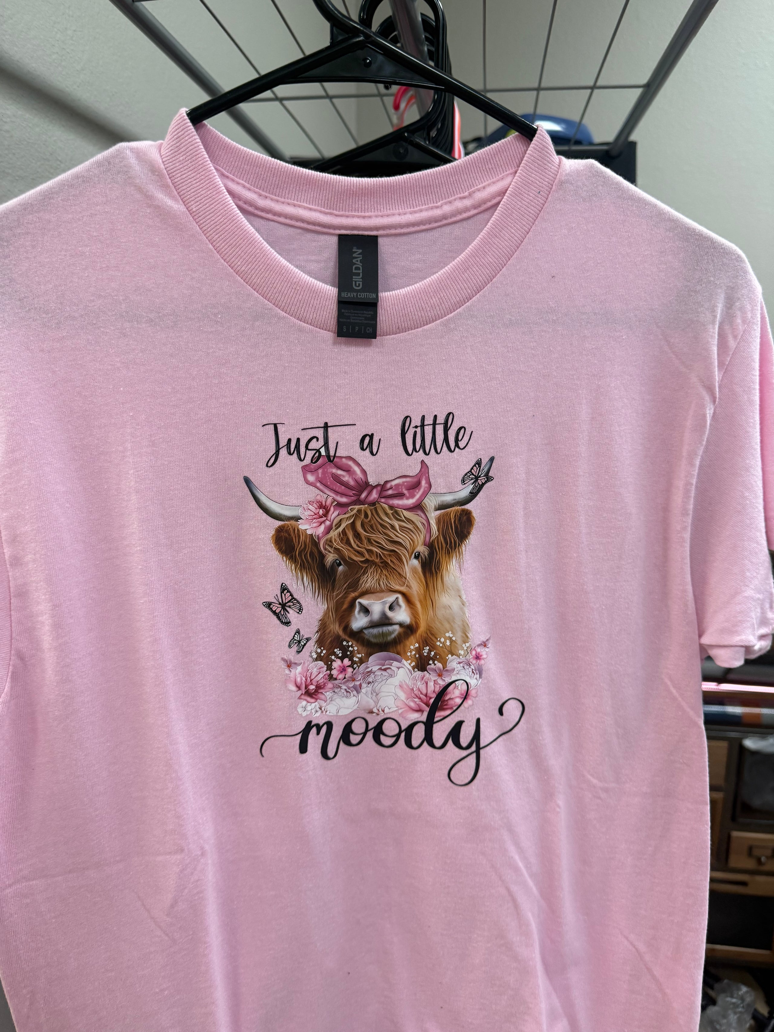 Just a Little Moody Small Tshirt